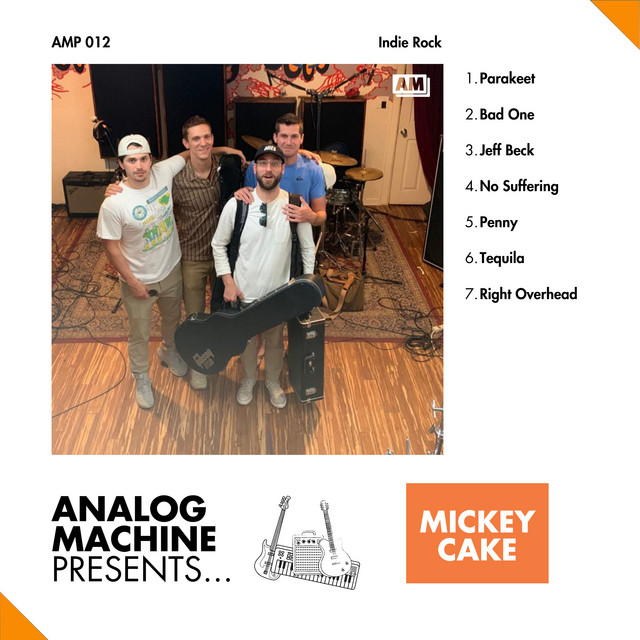 Analog Machine Presents - Mickey Cake cover art