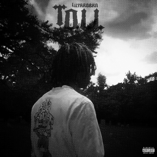 Take A Toll (Remixed) cover