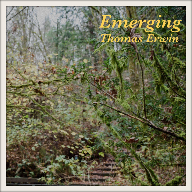 Emerging cover art