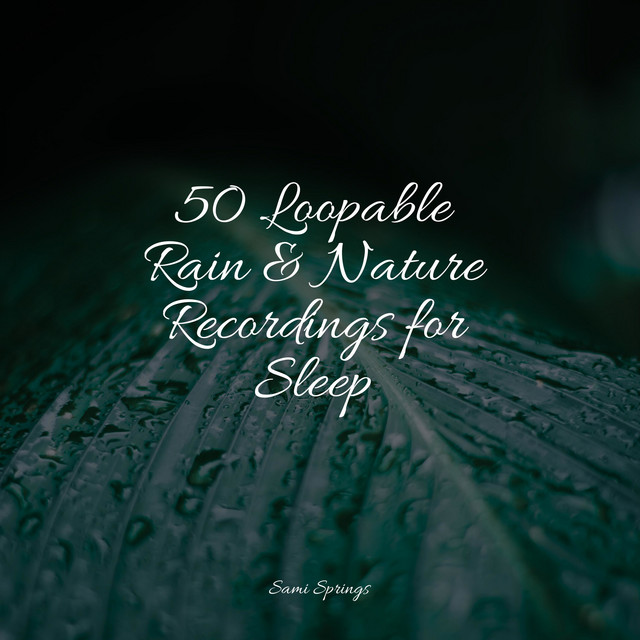 50 Sounds of Rain and Nature for Meditation - Album by Heavy Rain ...