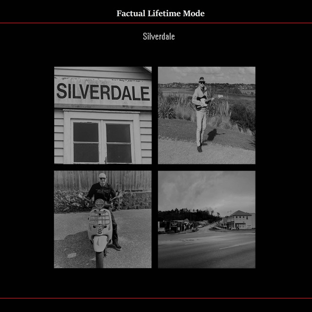 Silverdale cover art