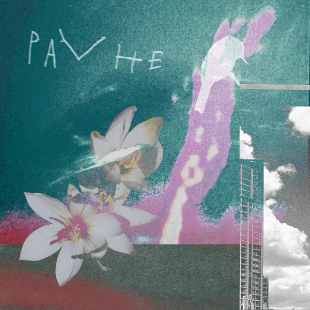 Pavhe cover art