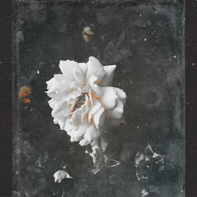 . B L O O M cover art