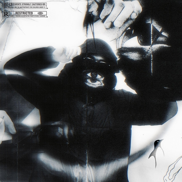 SKYZZO cover art
