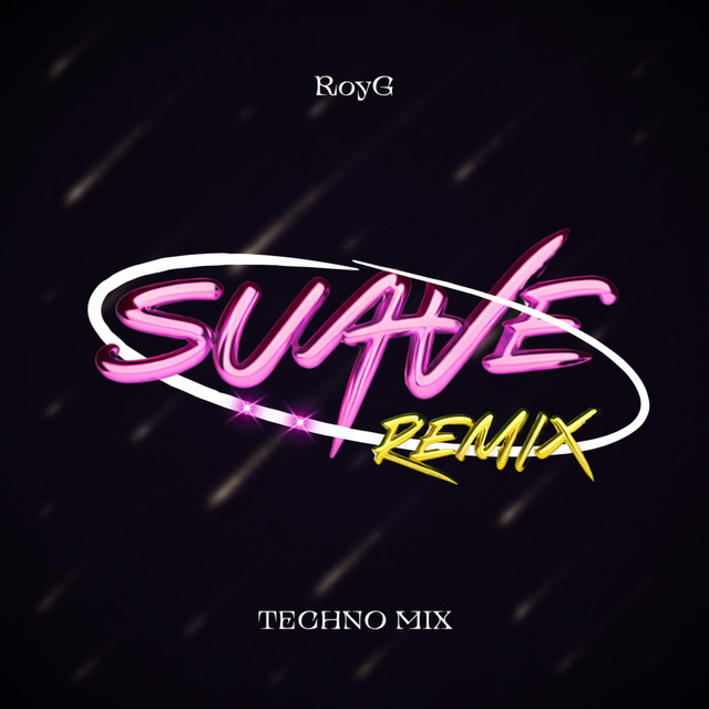 Suave Remix - Techno Mix