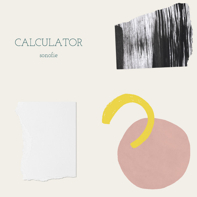 Calculator cover