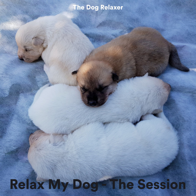Relax My Dog - The Session cover art