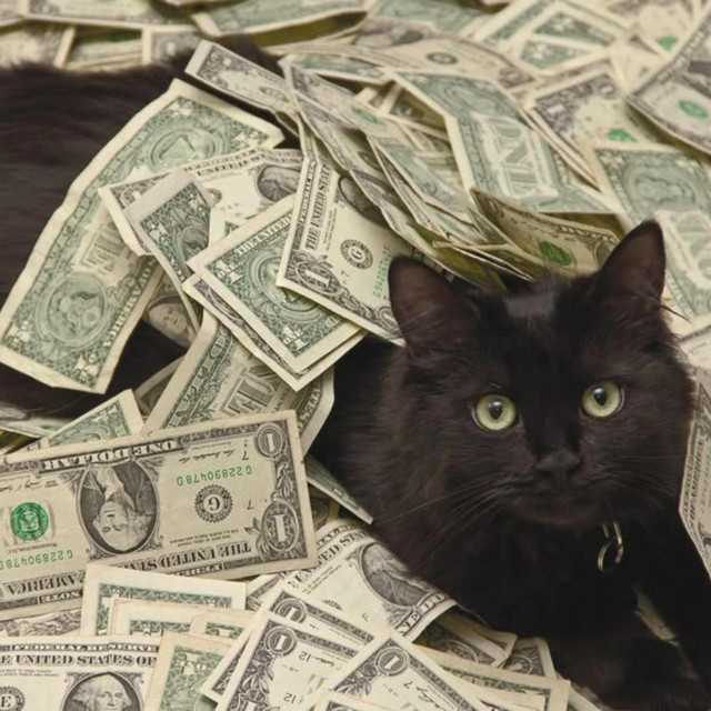 ILUV$$$
