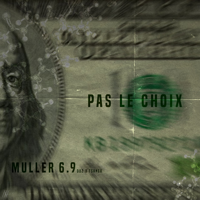 Pas le choix cover art