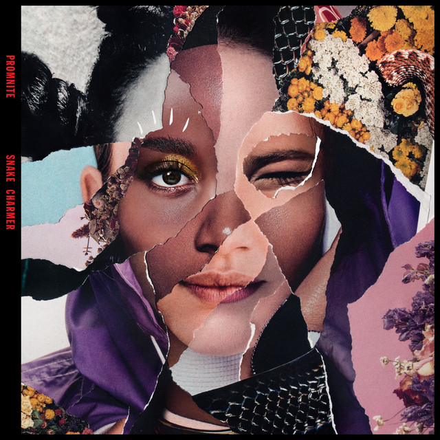 Snake Charmer cover art