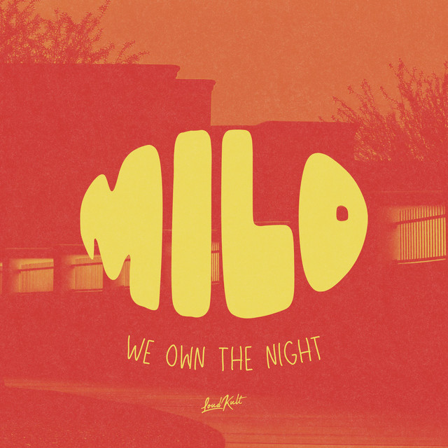 We Own The Night