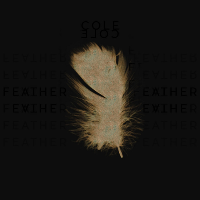 Feather cover art