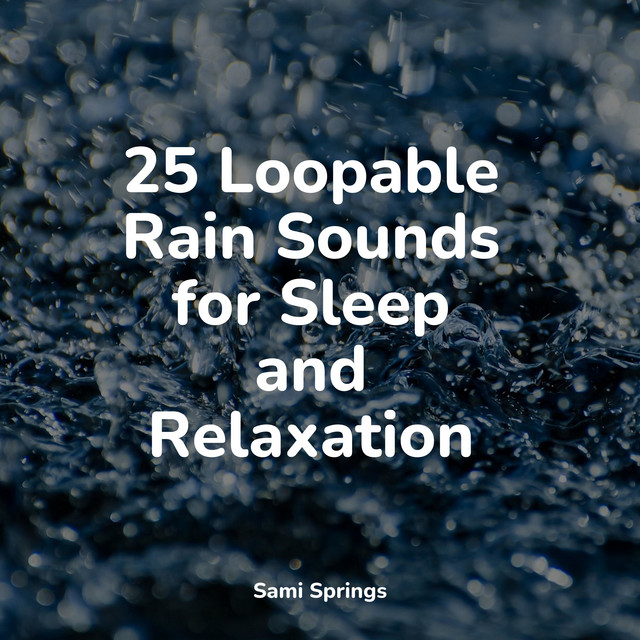 25 Sounds of Rain for Sleep and Relaxation - Album by Lluvia | Spotify