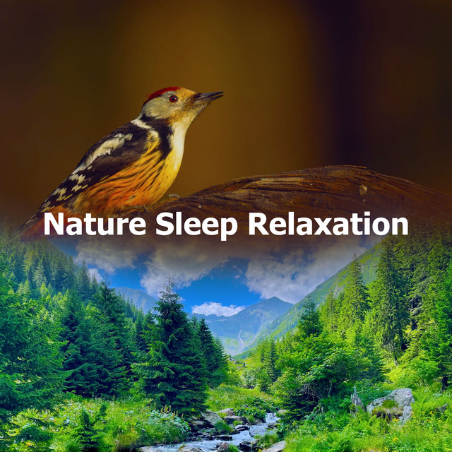 Nature Sleep Relaxation - Album by Nature Sounds for Sleep and ...