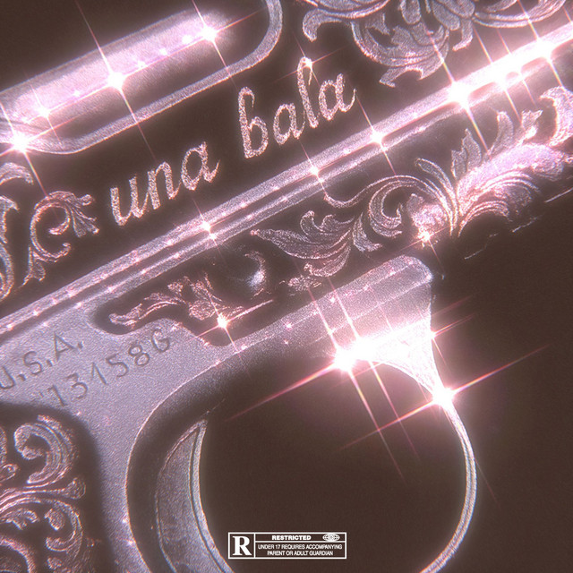 Una Bala