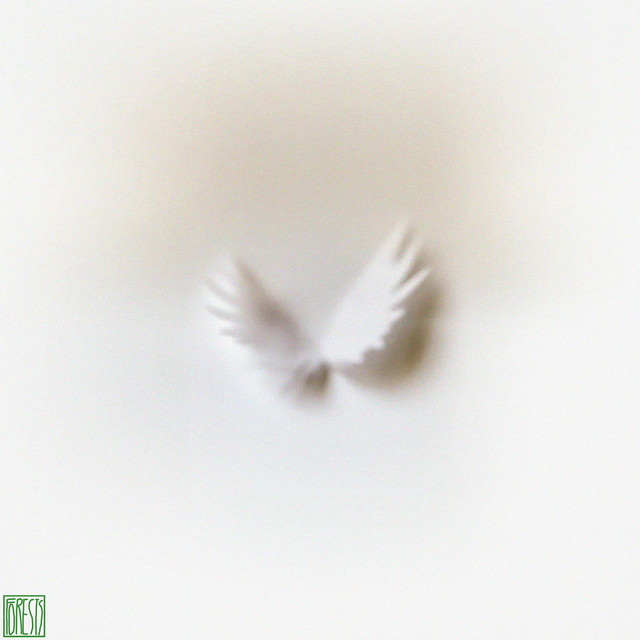 Wings cover art