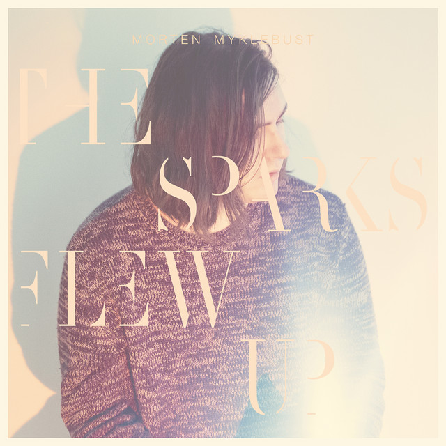 The Sparks Flew Up cover art