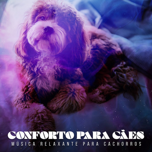 Conforto para Cães - Album by Música Relaxante para Cachorros | Spotify