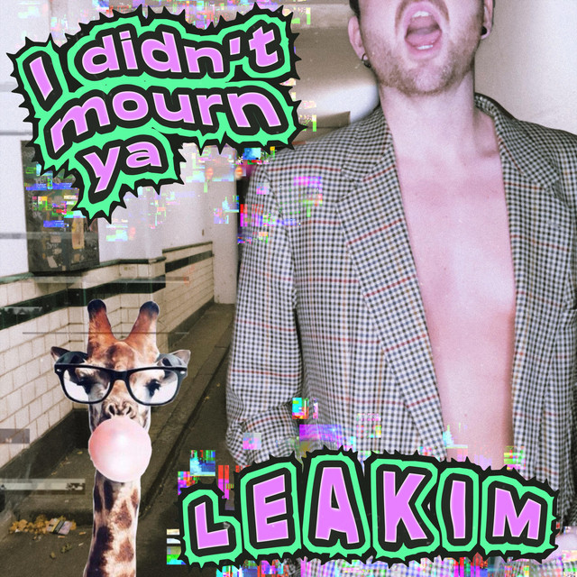 I Didn't Mourn Ya — cover art