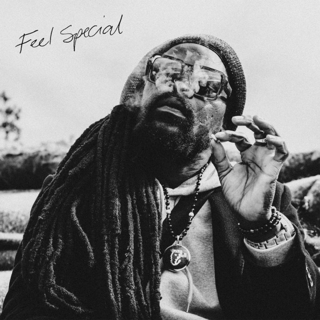 Feel Special album image