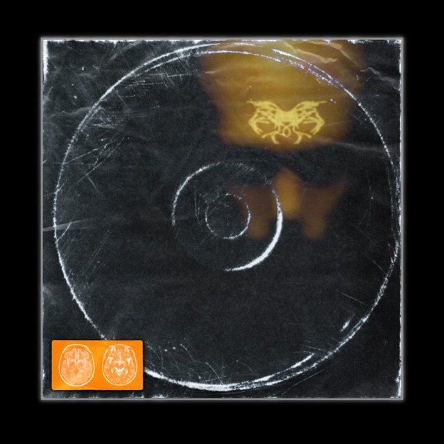 Nocturnal by Nature cover art