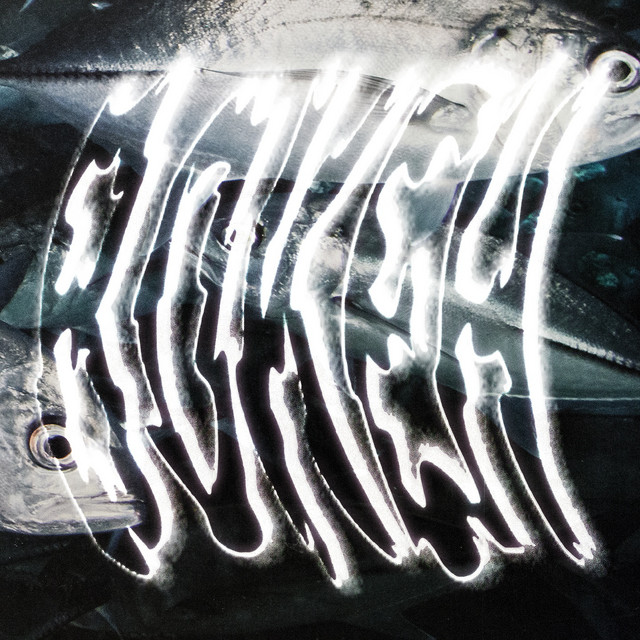 Bokeh cover art