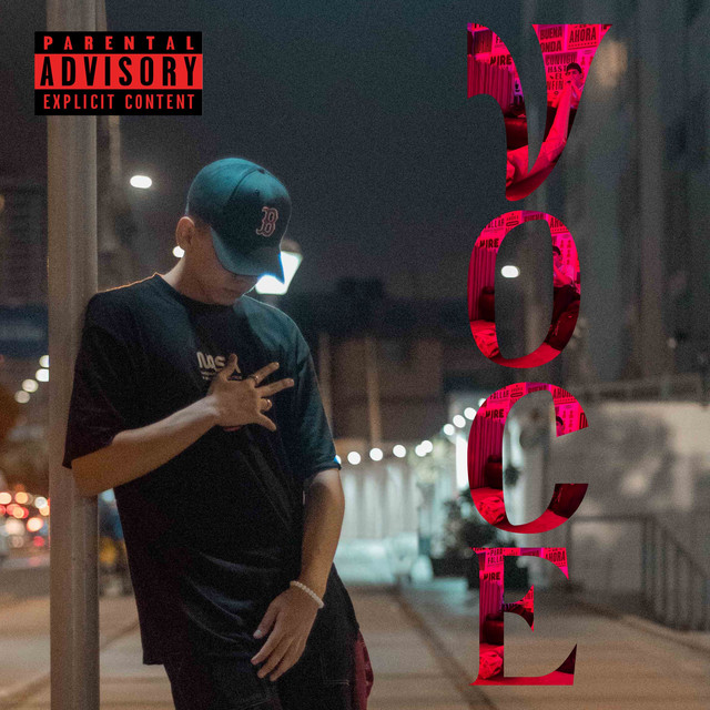 Voce cover art