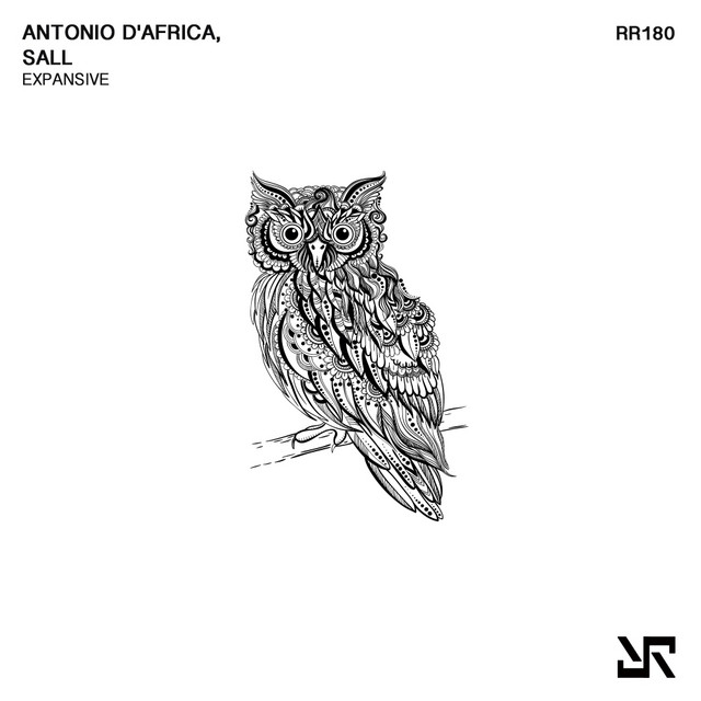 Expansive cover art