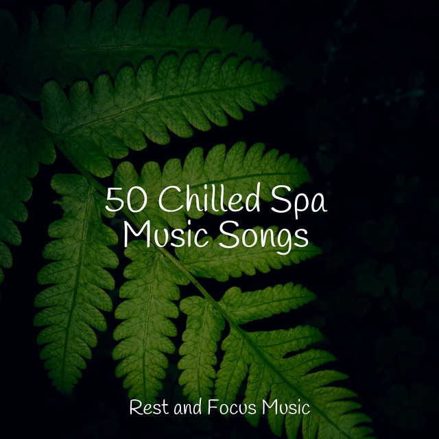 50 Chilled Spa Music Songs - Album by Reiki Tribe | Spotify