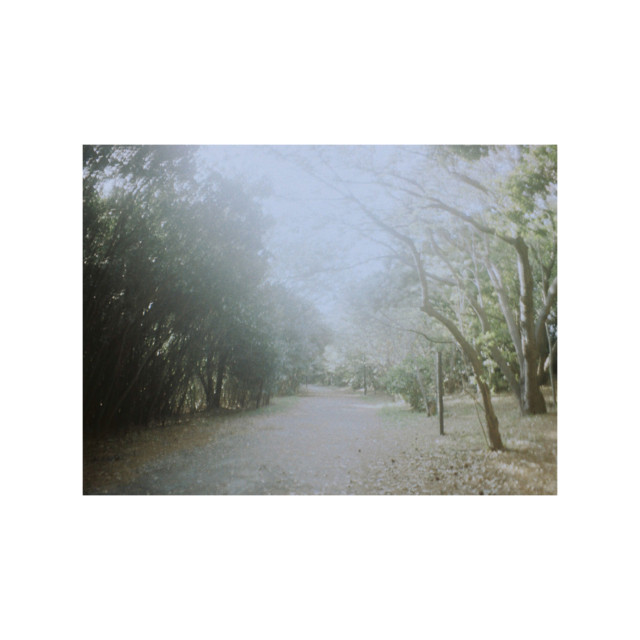STROLL