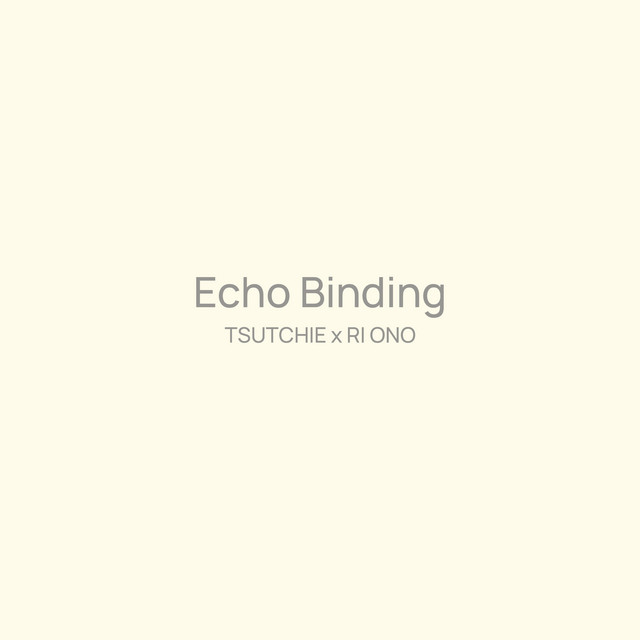 Echo Binding cover art