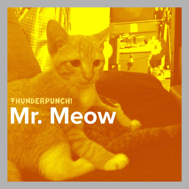 Mr. Meow - song and lyrics by ThunderPunch! | Spotify