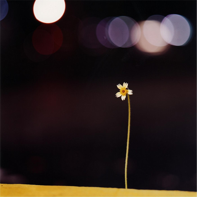 Gardens cover art