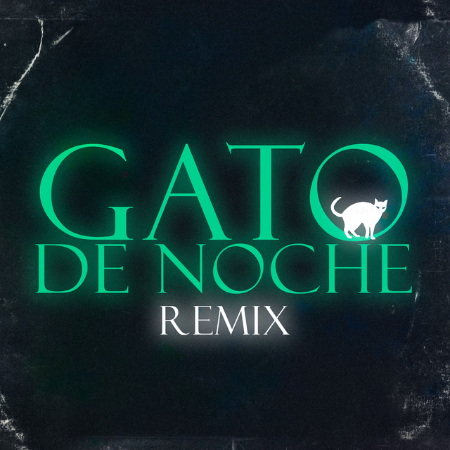 Gato de Noche - Remix