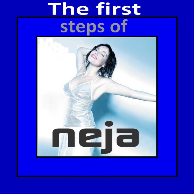 The First Steps of Neja cover art