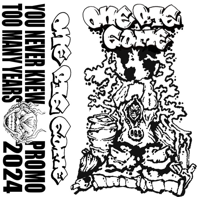 Promo 2024 cover art