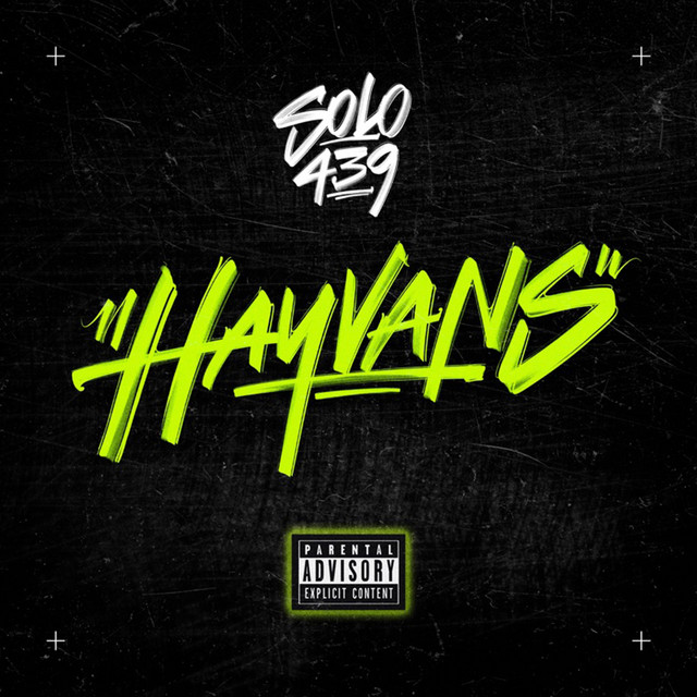 HAYVANS cover