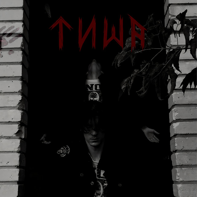 Обкладинка: Тиша — Ash