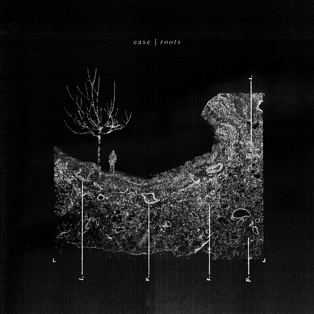 Roots cover art