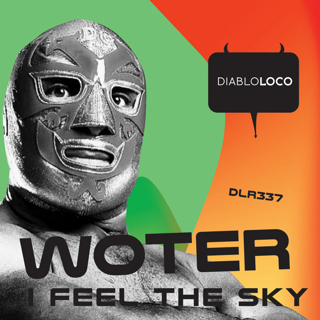 I Feel The Sky album art