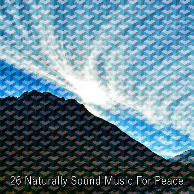 26 Naturally Sound Music For Peace cover art