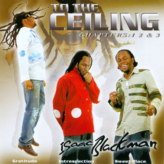 To The Ceiling cover art