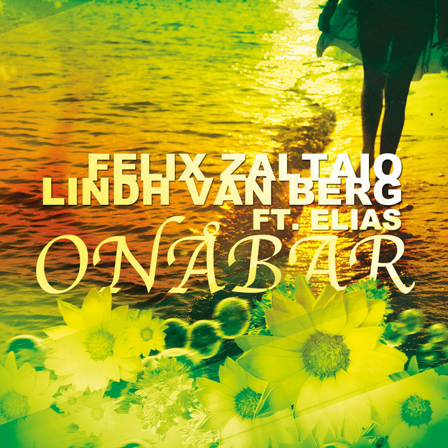 Onåbar - feat. Elias cover art