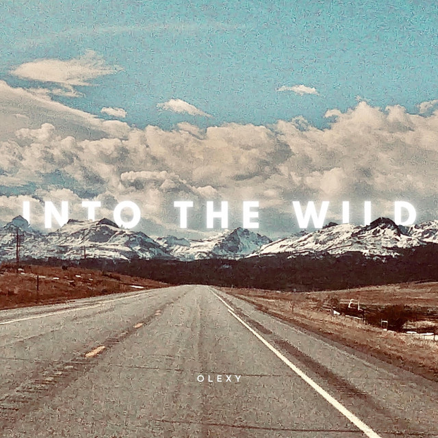 Обкладинка: Into the Wild — Lesfm