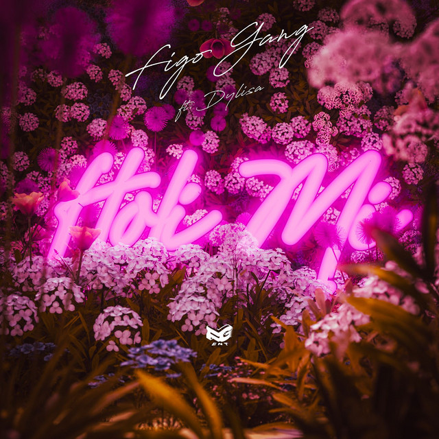 Holi Mi cover art
