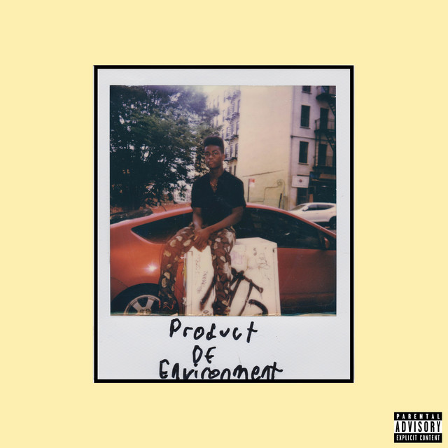 Product of Environment cover art