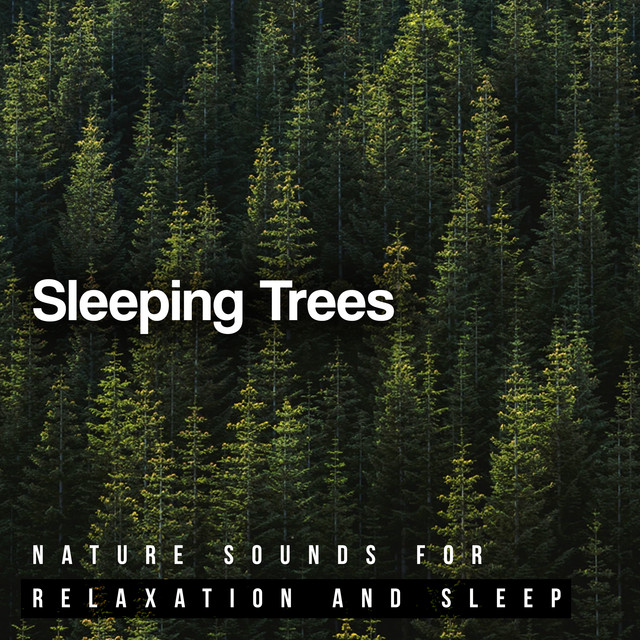 Sleeping Trees - Album by Nature Sounds for Relaxation and Sleep | Spotify