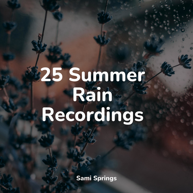 25 Summer Rain Recordings - Album by White Noise for Babies | Spotify