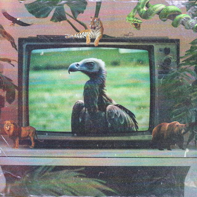 Vivi Vulture cover art