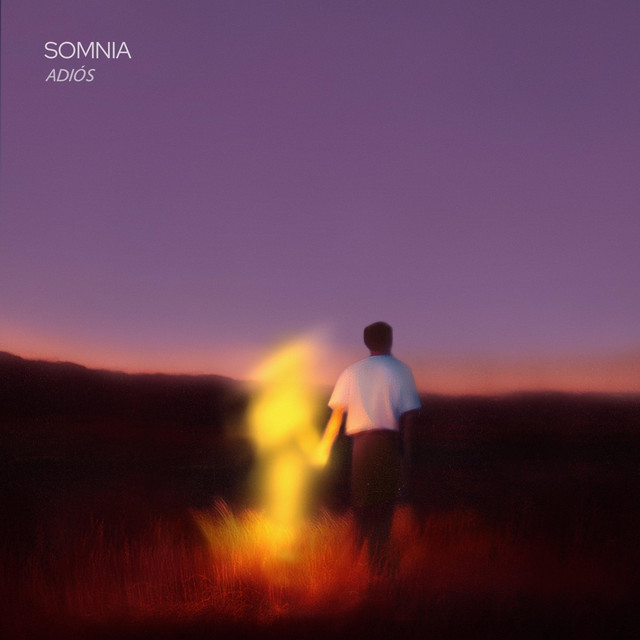 Adiós cover art